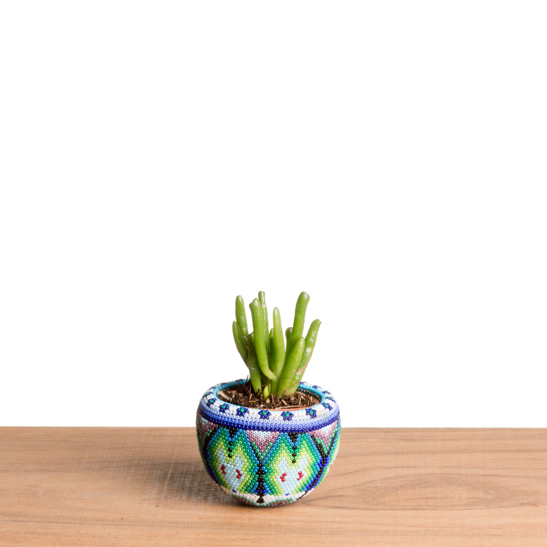 Maceta Robert Planta Negro - Jicarita Huichol Venado