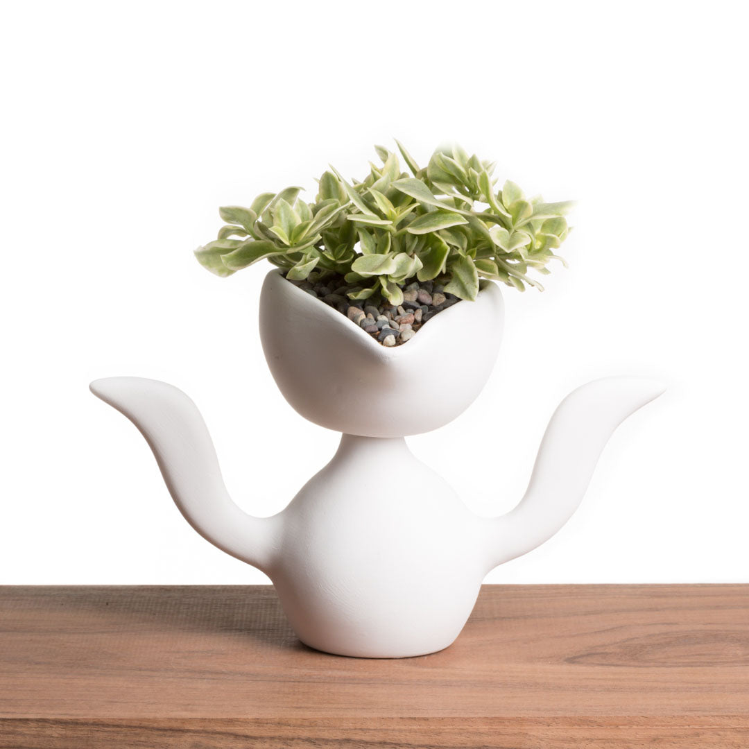 Maceta Mr. Pii - Blanco