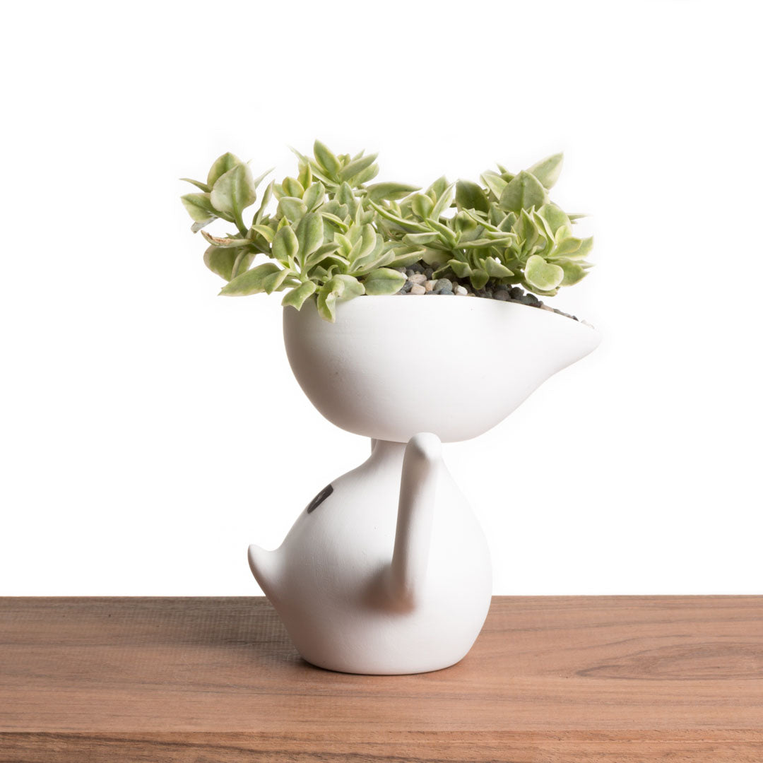 Maceta Mr. Pii - Blanco