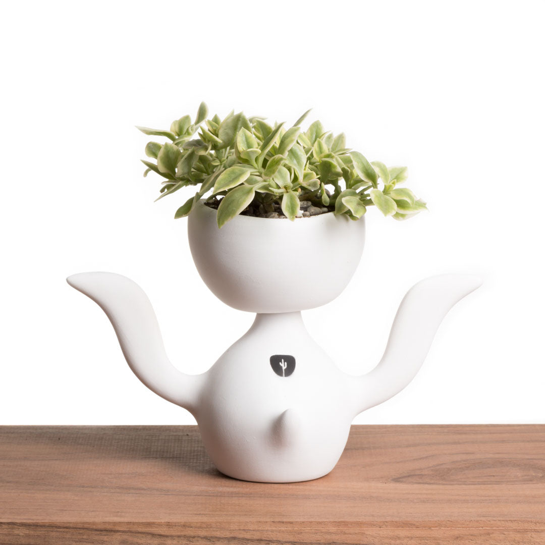 Maceta Mr. Pii - Blanco