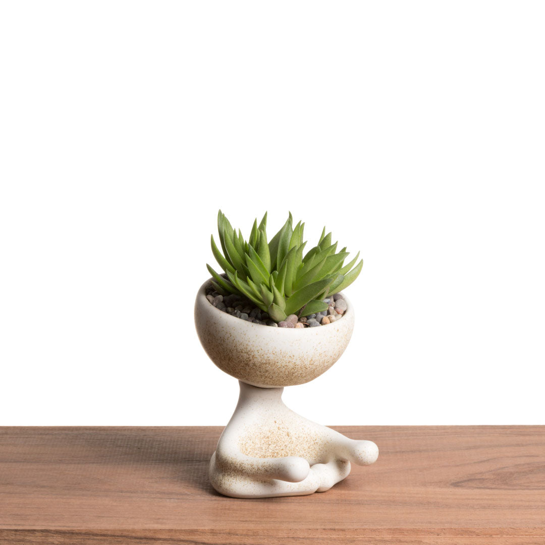 Maceta Robertiño Zen - Blanco Moteado