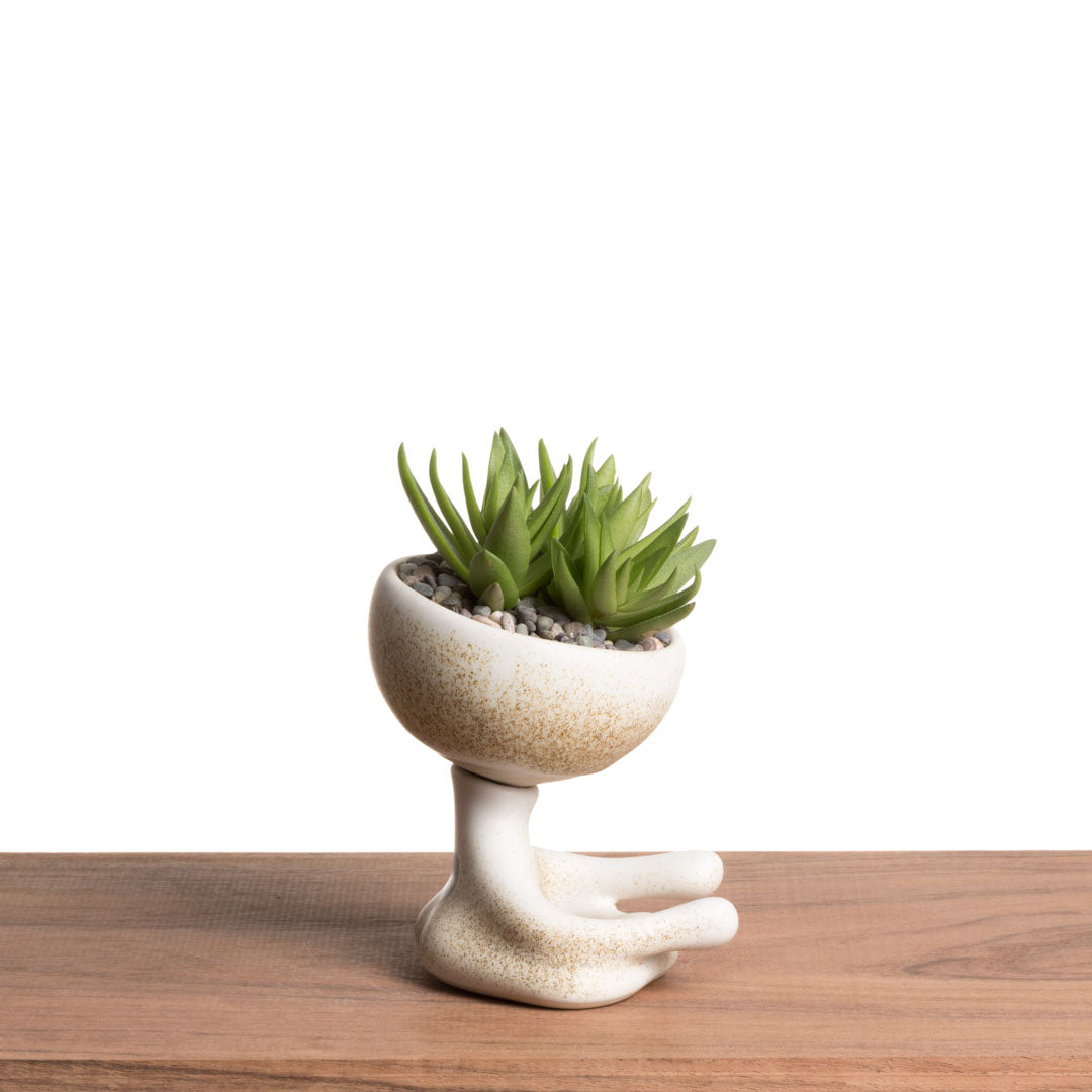 Maceta Robertiño Zen - Blanco Moteado