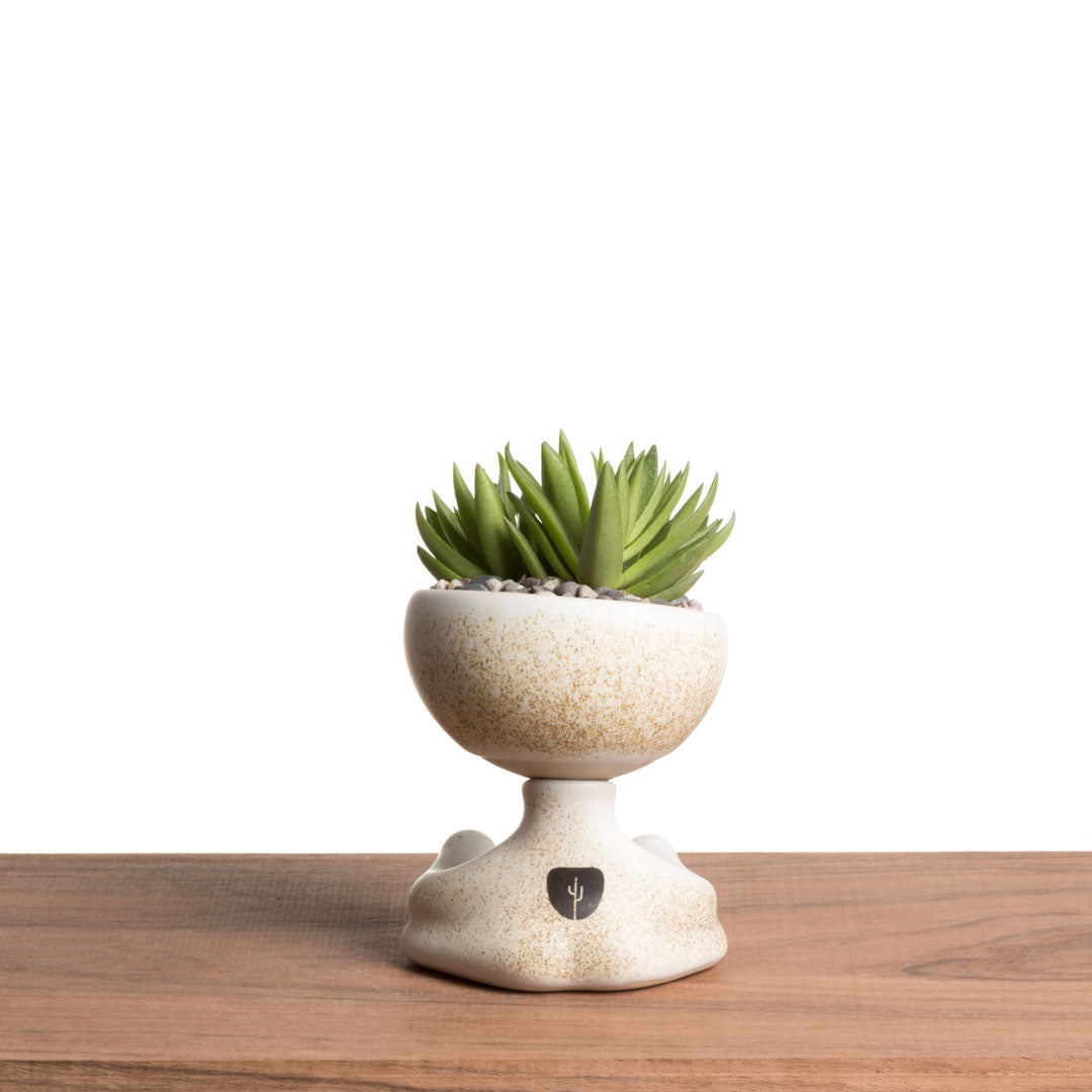 Maceta Robertiño Zen - Blanco Moteado