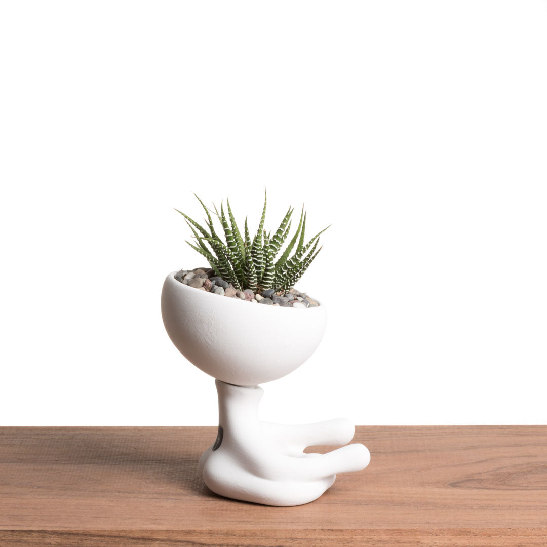 Maceta Robertiño Zen - Blanco