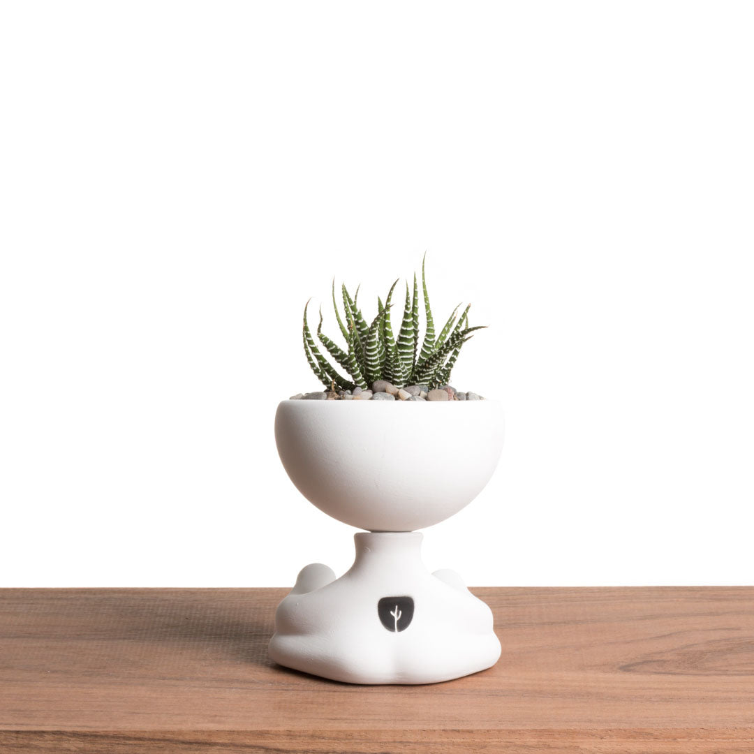 Maceta Robertiño Zen - Blanco