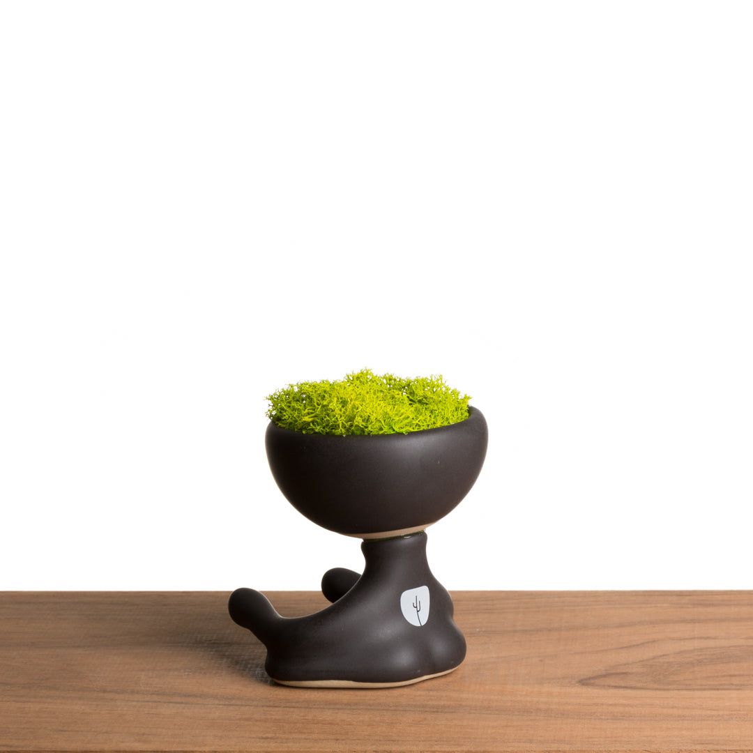 Maceta Robertiño Moss - Negro Mate