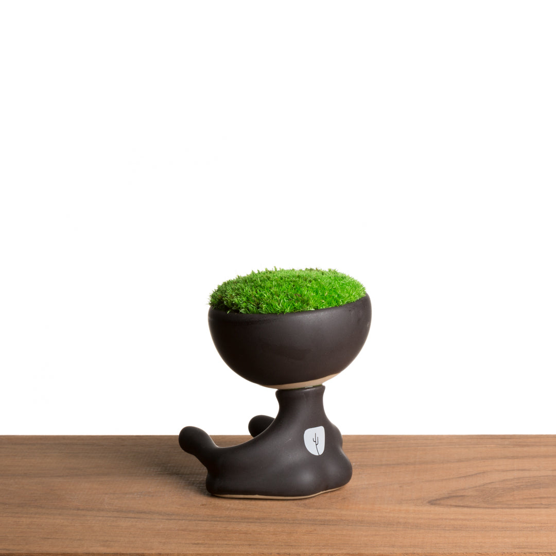 Maceta Robertiño Moss - Negro Mate