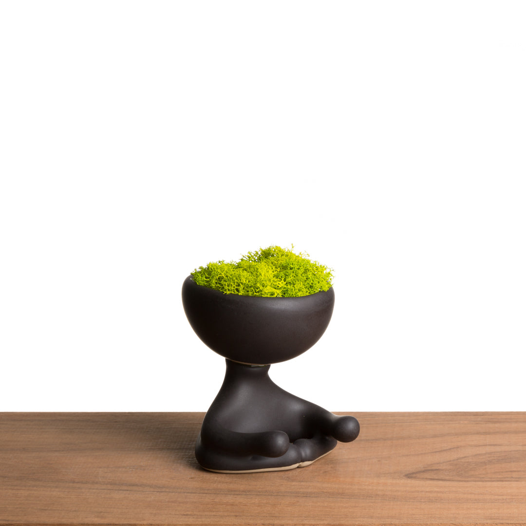 Maceta Robertiño Moss - Negro Mate