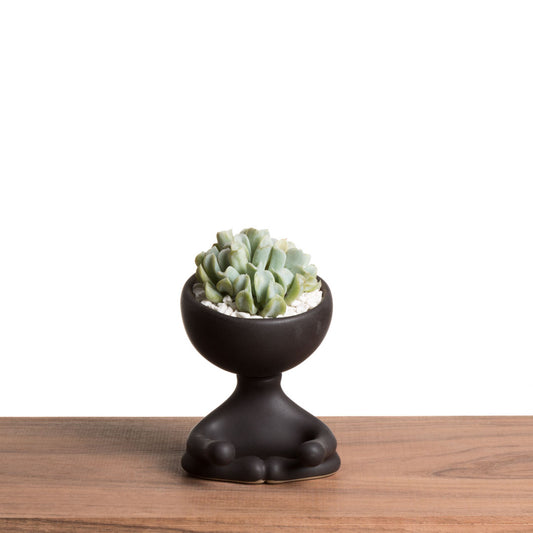 Maceta Robertiño Zen - Negro Esmaltado