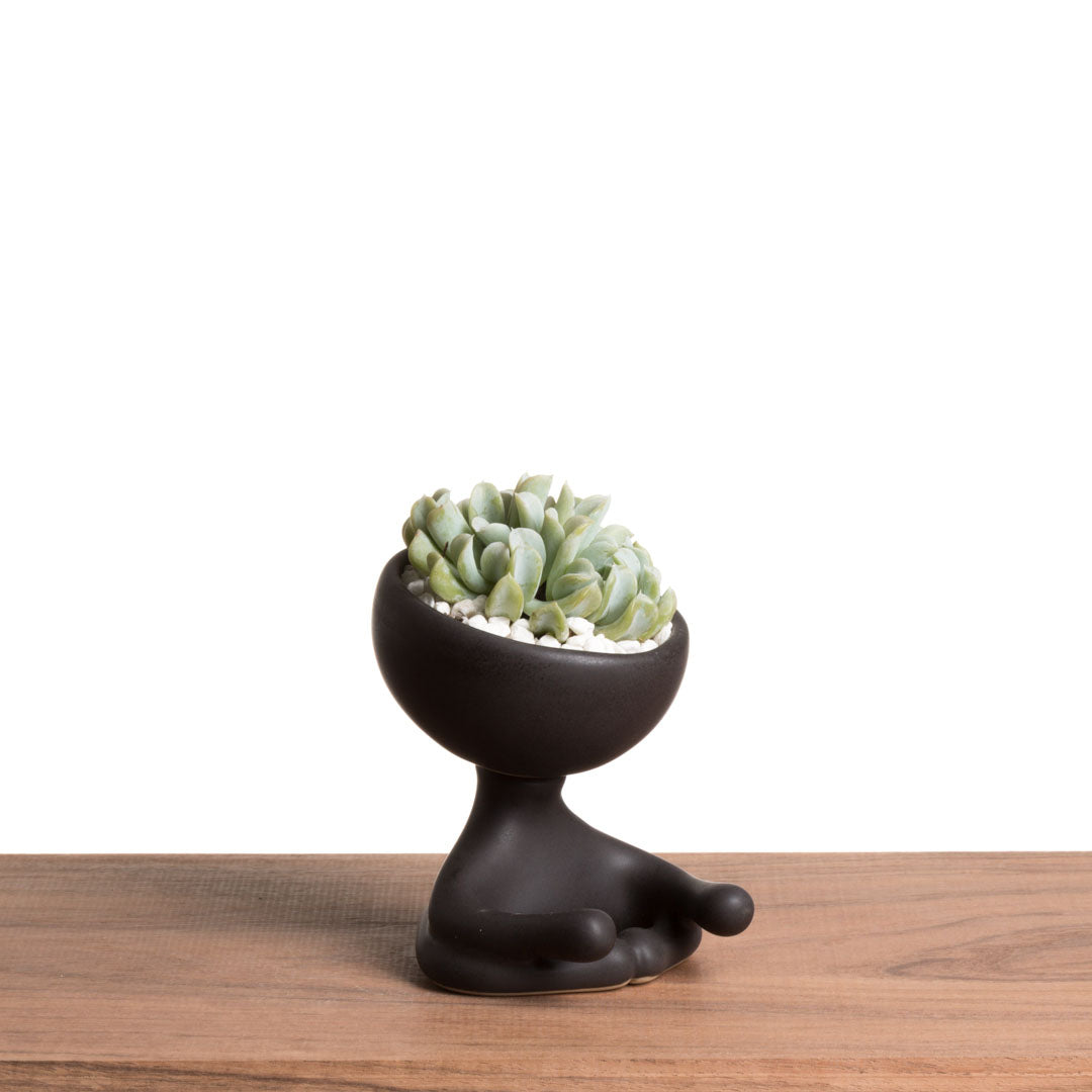 Maceta Robertiño Zen - Negro Esmaltado