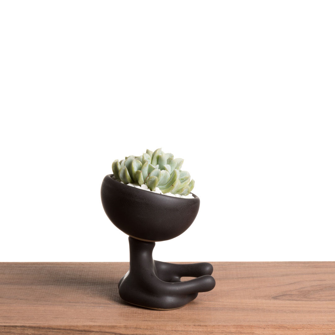 Maceta Robertiño Zen - Negro Esmaltado