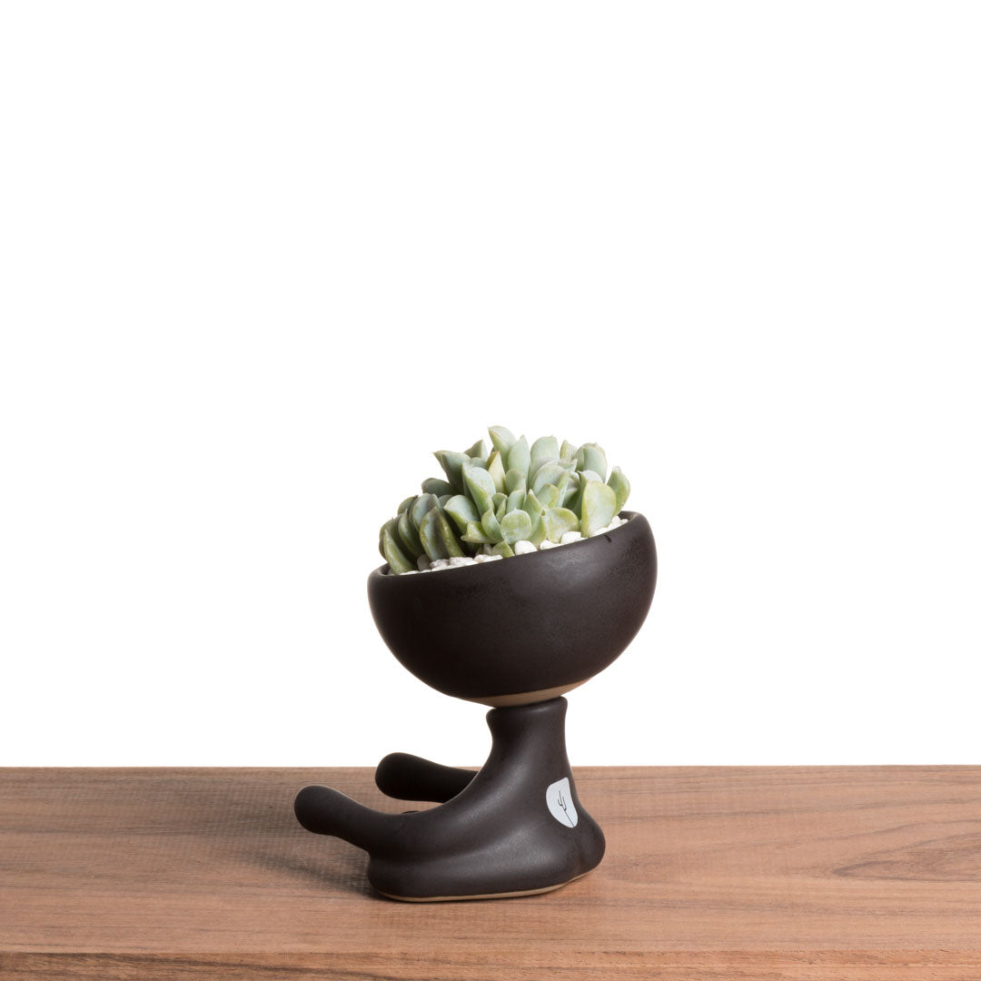 Maceta Robertiño Zen - Negro Esmaltado