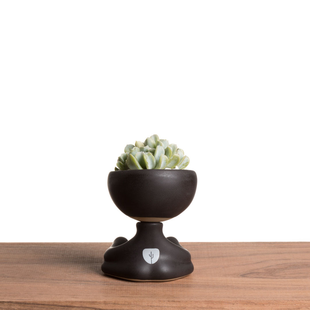 Maceta Robertiño Zen - Negro Esmaltado