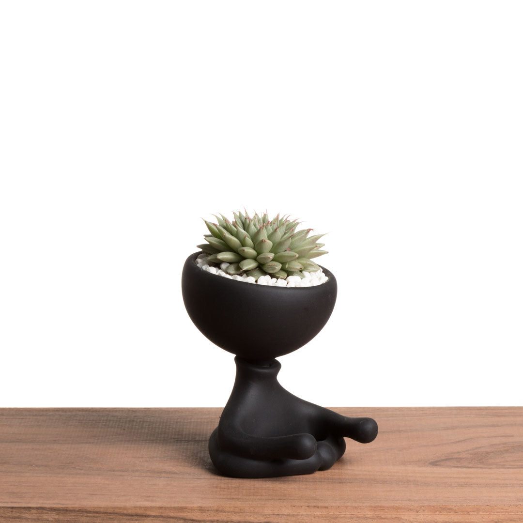 Maceta Robertiño Zen - Negro