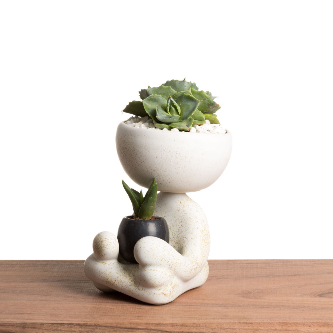 Maceta Robert Zen Jr - Blanco Moteado