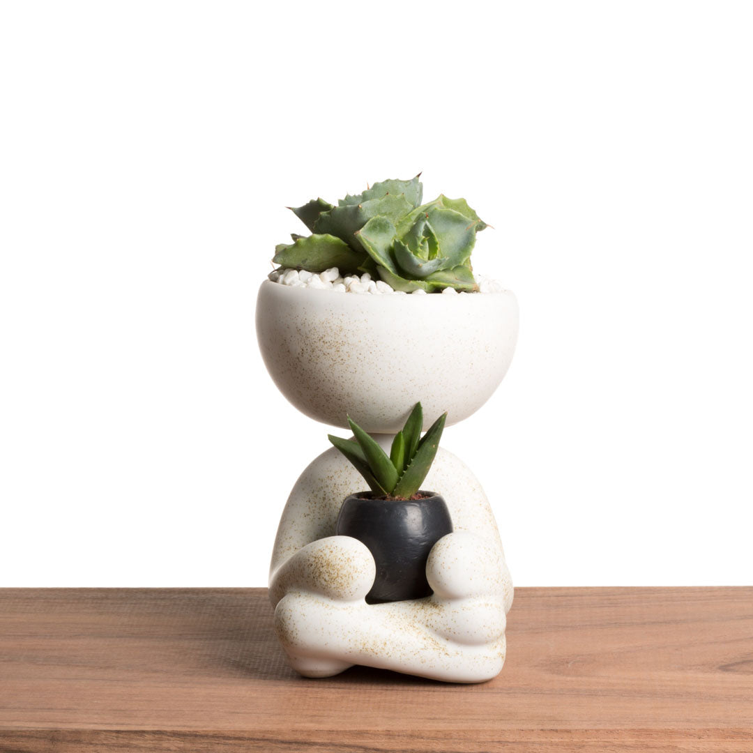 Maceta Robert Zen Jr - Blanco Moteado