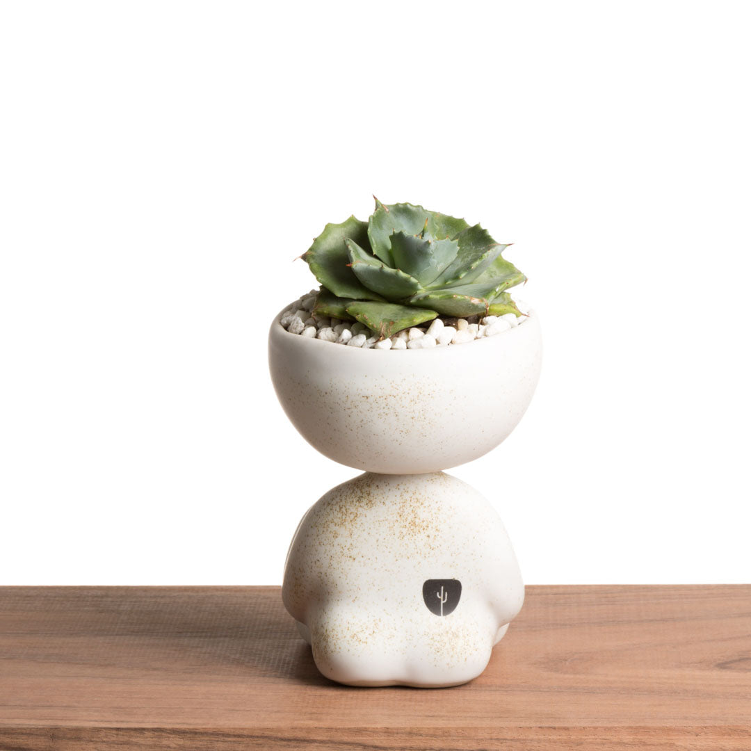 Maceta Robert Zen Jr - Blanco Moteado