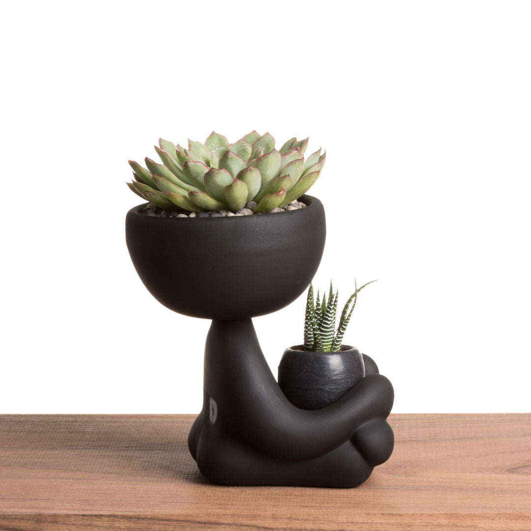 Robert Zen Jr. - Negro