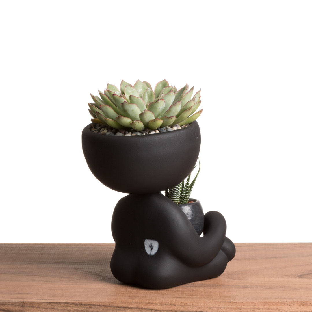 Robert Zen Jr. - Negro