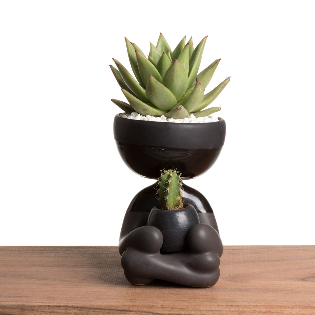 Maceta Robert Zen Jr - Negro Brillante/Mate