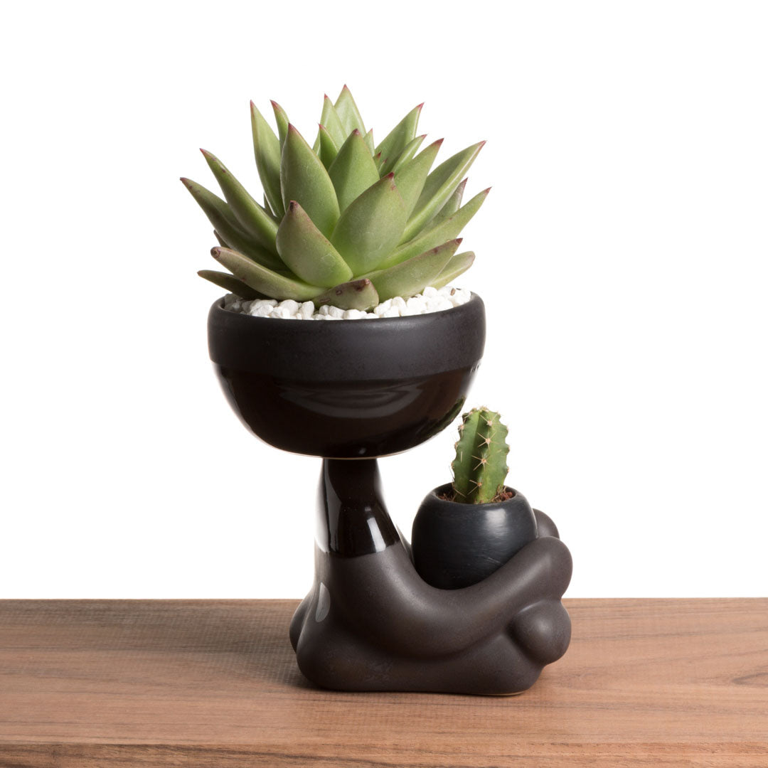 Maceta Robert Zen Jr - Negro Brillante/Mate