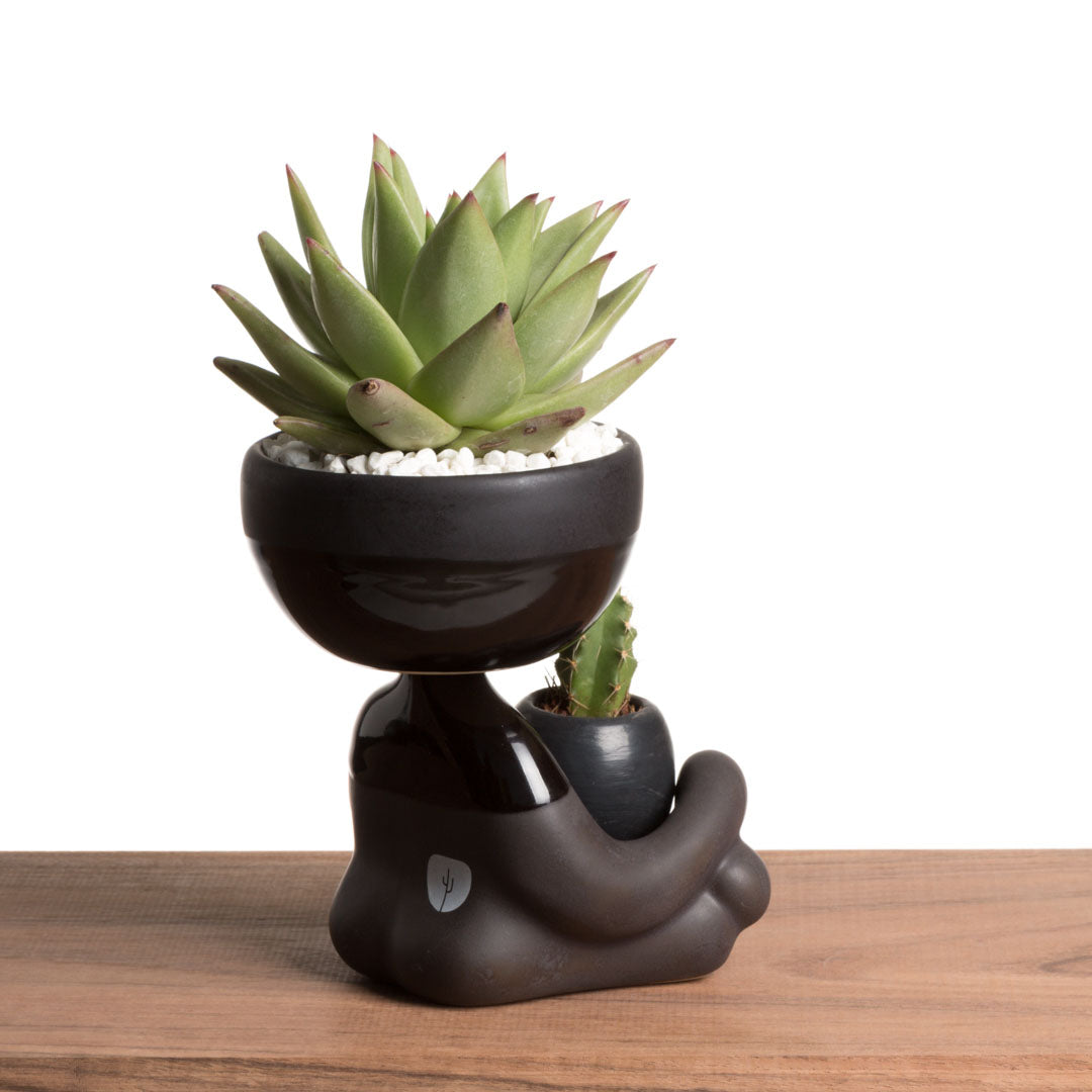 Maceta Robert Zen Jr - Negro Brillante/Mate