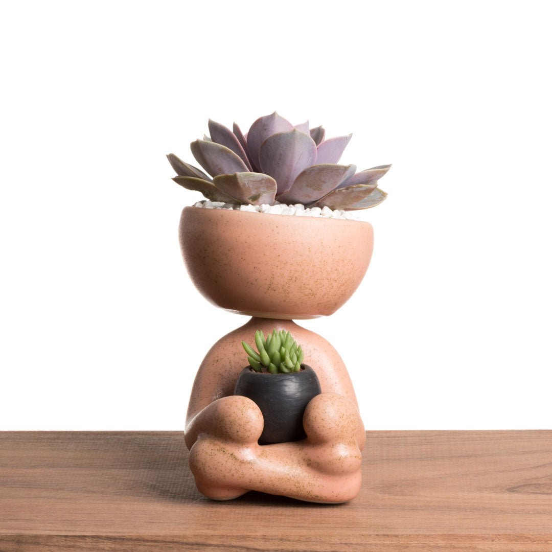 Maceta Robert Zen Jr - Rosa Moteado