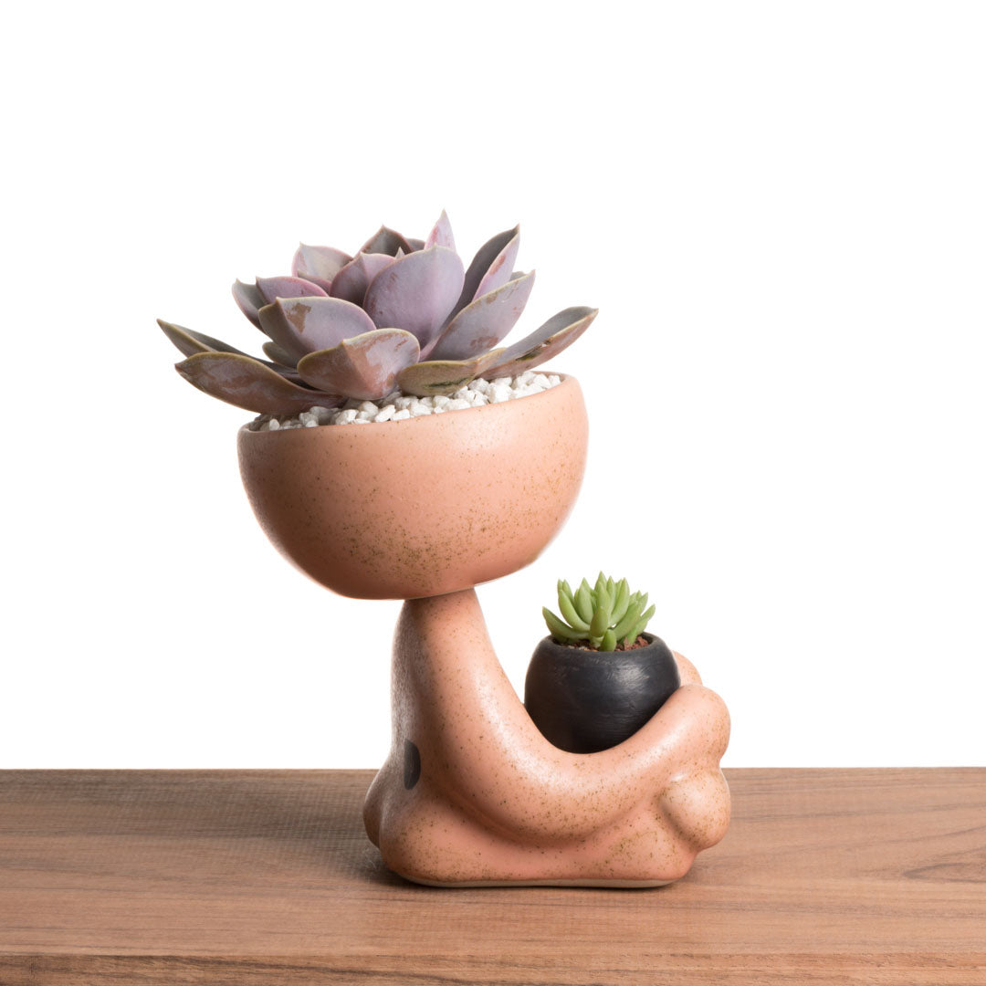 Maceta Robert Zen Jr - Rosa Moteado