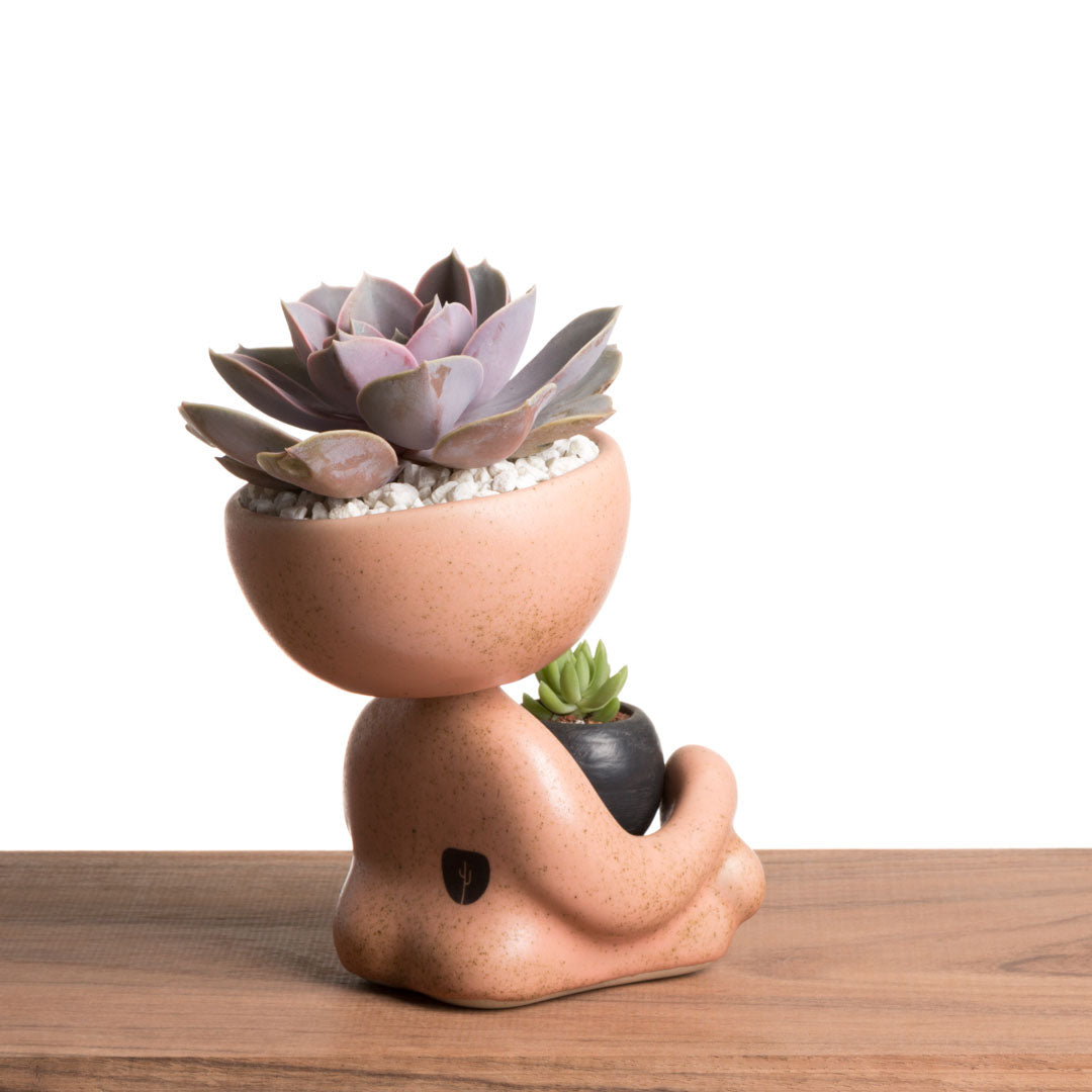 Maceta Robert Zen Jr - Rosa Moteado