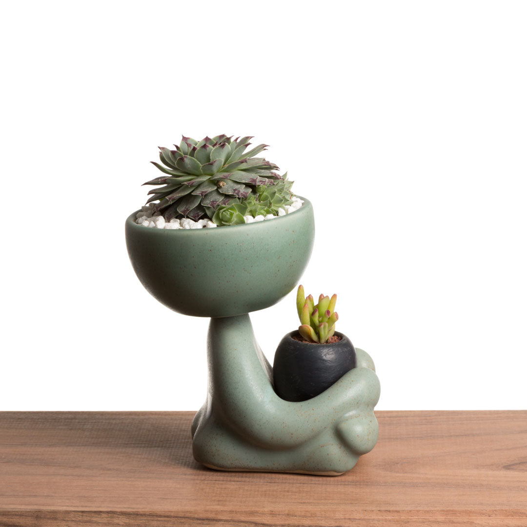 Maceta Robert Zen Jr - Verde Moteado