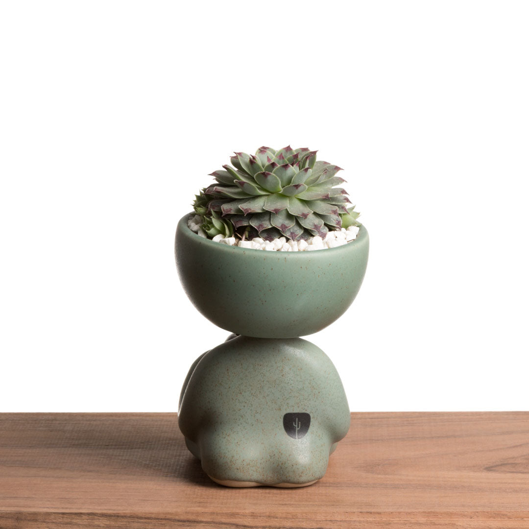 Maceta Robert Zen Jr - Verde Moteado