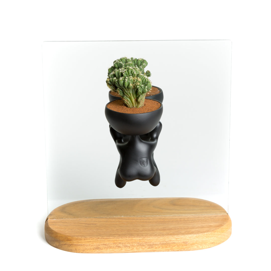 Base Decorativa Roger Wall Espejo - Negro