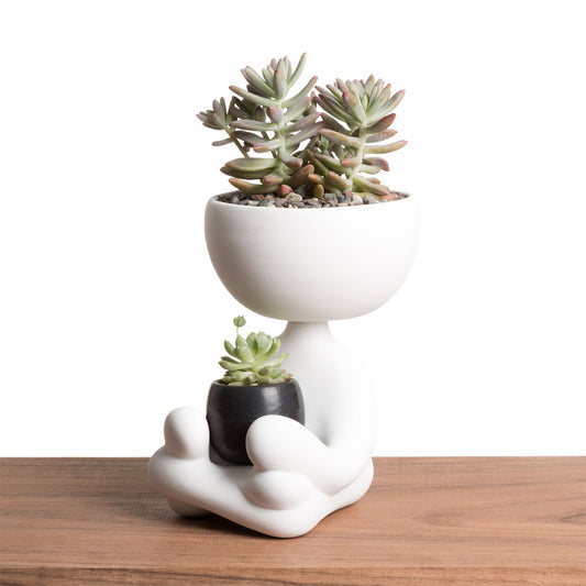 Robert Zen Jr. - Blanco